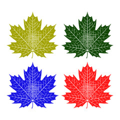 Fototapeta premium Colorful Maple Leaves Canada Nature Seasonal Design