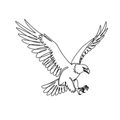 Fototapeta premium Minimalist Line Art of an Eagle with Wings Spread Wide in Flight bird hawk