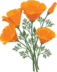 Orange California Poppies and Buds with Green Leaves on White california poppy