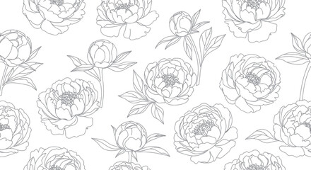Delicate peony flower outlines create an elegant botanical pattern on a white background © Alis