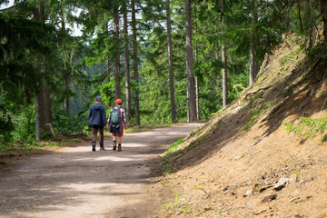 Fototapeta premium Two hikers walk along a scenic forest trail in summer, enjoying adventure, nature, and peaceful outdoor travel.