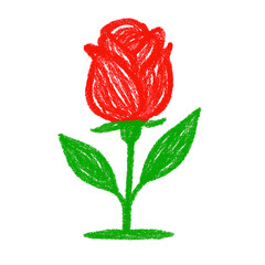 Red rose with green stem and leaves drawn in crayon style isolated on a transparent background