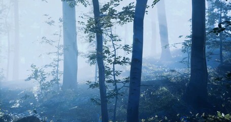 In a tranquil forest, ethereal mist envelops tall trees while soft morning light filters through the foliage, creating a serene and mystical atmosphere perfect for meditation. - Powered by Adobe