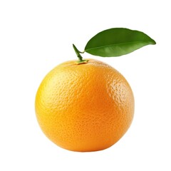 オレンジのクローズアップ 葉っぱ付きの丸い柑橘類 白い背景に分離した果物