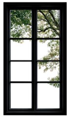 Black framed window, branches and leaves