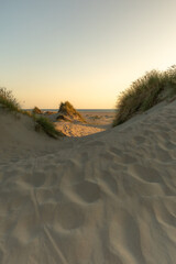 Dünenlandschaft 