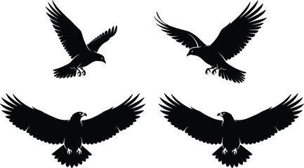 Vector Silhouette Illustration of Four Birds of Prey in Flight with Extended Wings and Talons on White Background