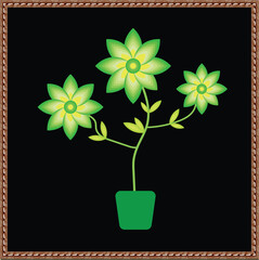 Vibrant green flowers in a pot on a black background