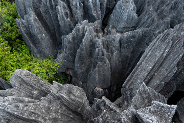 Tsingy de Bemaraha, Madagascar