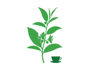 Fototapeta premium Flat design of green tea on a white background 