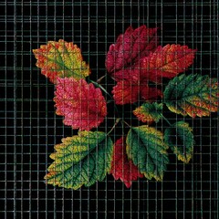 Autumn leaves clustered on a wire mesh background