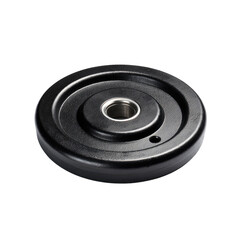 Black circular object, likely a bearing or a component