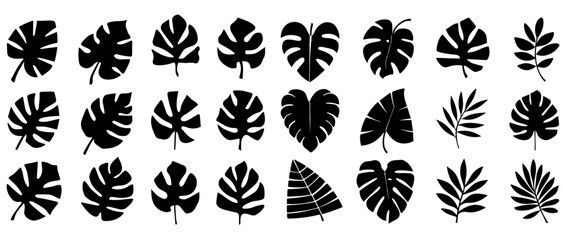 Monstera Palm and Tropical Leaf Silhouettes Collection Black Botanical Vector Set Isolated on White Background © Pushpa