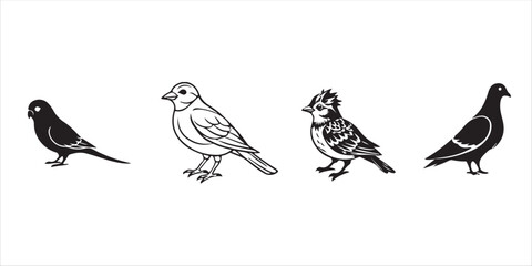 Collection of bird design elements isolated on white background