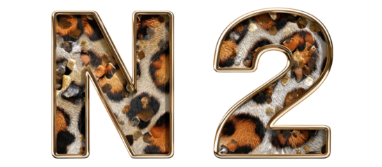Gold-framed numbers with a leopard print