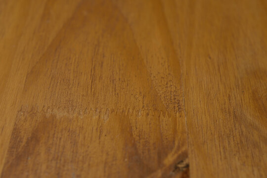 Natural Eucalyptus Hardwood Plank Texture