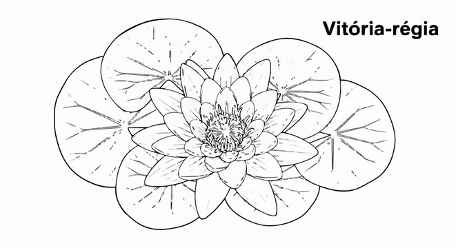 Close-up of a giant Victoria Regia floating in calm waters, a symbol of the Amazon and Brazilian flora. Perfect for design, decor, and botanical projects. Generative AI