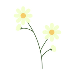 Beautiful Flower Illustration