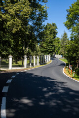 Road around castle Sturzna, Czech republic