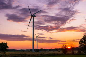 Obraz premium Swedish wind energy turbines glowing in summer sunset light