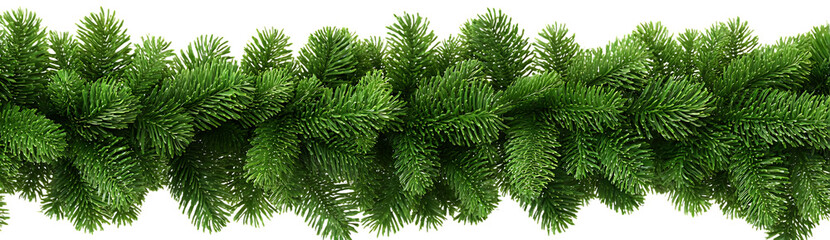 Detailed close-up of vibrant green fresh herbs with textured leaves and natural detailing