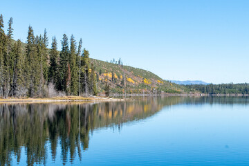 Fototapeta premium Jenny Lake in Grand Teton National Park, Wyoming, features clear, calm waters reflecting a line of evergreen trees along a rocky shoreline