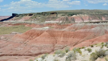 petrified forest painted desert 