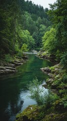 Obraz premium Serene river winding through lush forest