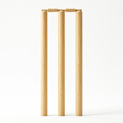 cricket stumps set