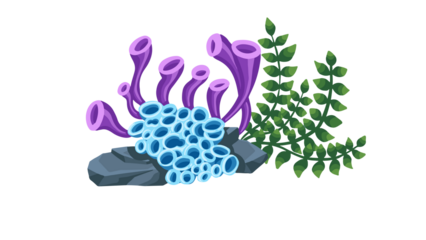 PNG Cartoon underwater sea landscape constructor with fishes and ocean animals, vector undersea world. Underwater coral reef characters of octopus with turtle,