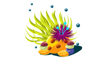 PNG Cartoon underwater sea landscape constructor with fishes and ocean animals, vector undersea world. Underwater coral reef characters of octopus with turtle,