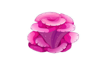 PNG Cartoon underwater sea landscape constructor with fishes and ocean animals, vector undersea world. Underwater coral reef characters of octopus with turtle,