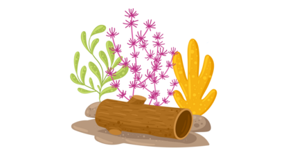 PNG Cartoon underwater sea landscape constructor with fishes and ocean animals, vector undersea world. Underwater coral reef characters of octopus with turtle,