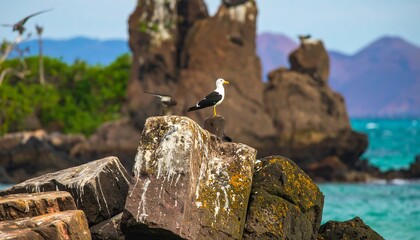 Coastal scene with birds perched on rocks