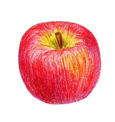 Red apple without a feaf. Hand draw by colored pencil