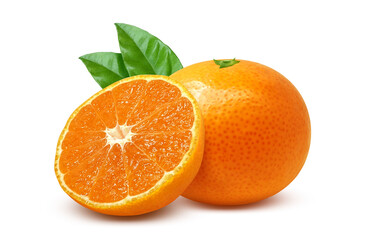 みかん イラスト リアル ミカン