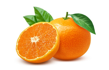 みかん イラスト リアル ミカン