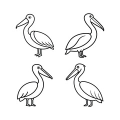 A set of pelican bird line art vector illustration