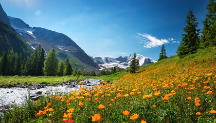 vibrant alpine meadow with orange wildflowers globeflowers flowing river lush green slopes pine trees and rugged mountains under blue sky perfect for outdoor trekking hiking and mountaineering