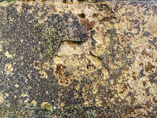 Yellowish-brown rough stone and sand surface with weathering patterns, natural porous texture, ideal for eco, rustic, and organic design backgrounds