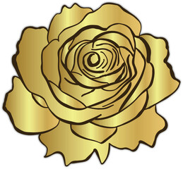 Elegant golden rose line art with shiny metallic effect, perfect for luxury designs, invitations, decor, branding, and digital artwork.