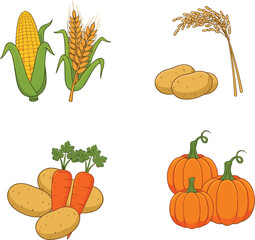 Vector illustration of corn, wheat, rice, carrot, potato, pumpkin vegetables and grains for farming, harvest, agriculture, food and seasonal design