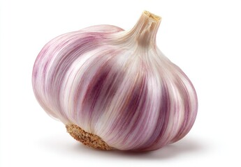 Single head of garlic, close-up