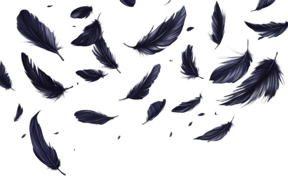 Crow feathers falling in air on transparent background, png