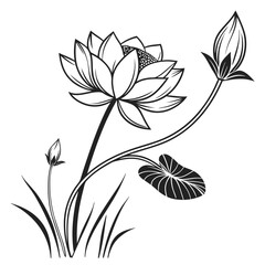 Elegant black and white line art illustration of a blooming lotus flower with buds and leaves