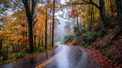 Obraz premium Autumnal mountain road in the mist
