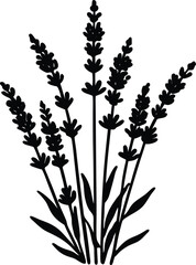 Lavender Plant Silhouette