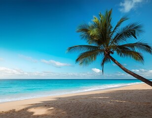 palm tree silhouette on sandy beach with blue ocean and sky