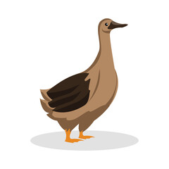 Simple Color Animal Vector Illustration Design