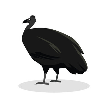 Simple Color Animal Vector Illustration Design